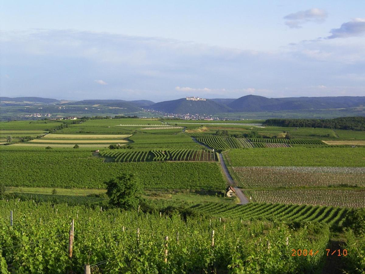 Asbacher Klosterkeller Stratzing Exteriör bild